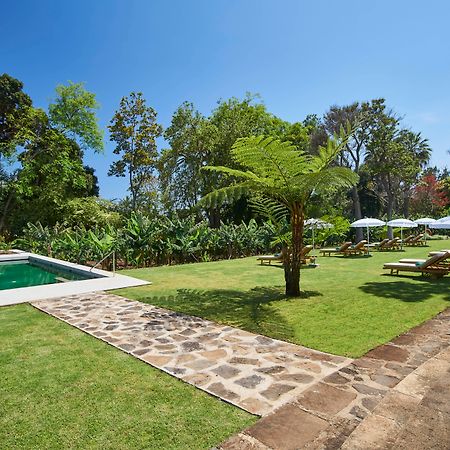 Hotel Quinta da Casa Branca Funchal  Esterno foto