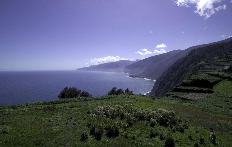 Hotel Quinta da Casa Branca Funchal  Servizi foto